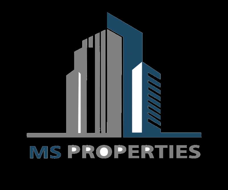  MS Properties