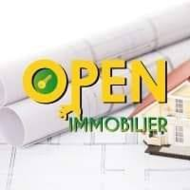 Opening a real estate agency